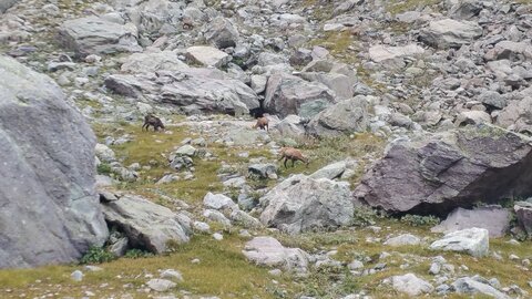 Mercantour 8-10/09, 20200909_142211