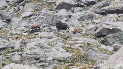 Mercantour 8-10/09, 20200909_142251