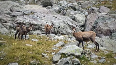 Mercantour 8-10/09, 20200909_142413-01