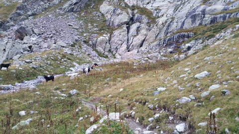 Mercantour 8-10/09, 20200911_082039