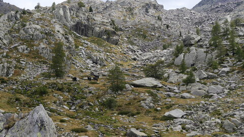 Mercantour 8-10/09, P1033321
