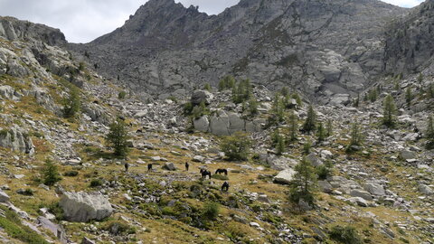 Mercantour 8-10/09, P1033322