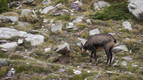 Mercantour 8-10/09, P1033334