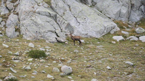 Mercantour 8-10/09, P1033363