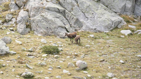 Mercantour 8-10/09, P1033364