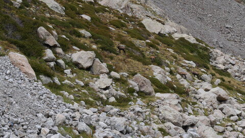 Mercantour 8-10/09, P1033368