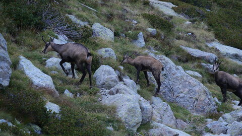 Mercantour 8-10/09, P1033369