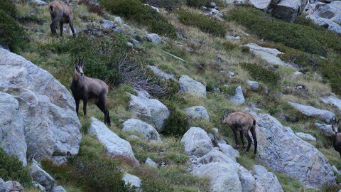 Mercantour 8-10/09, P1033370