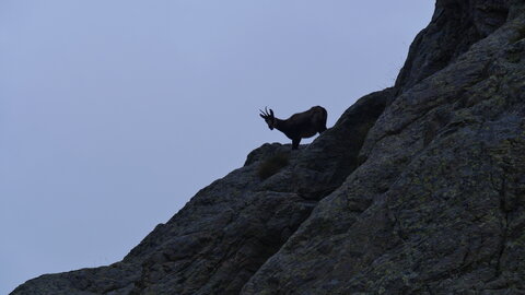 Mercantour 8-10/09, P1033371