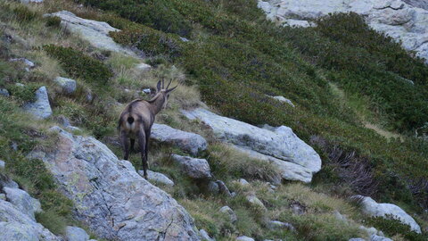Mercantour 8-10/09, P1033373