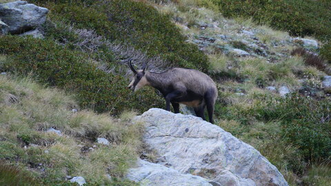 Mercantour 8-10/09, P1033374