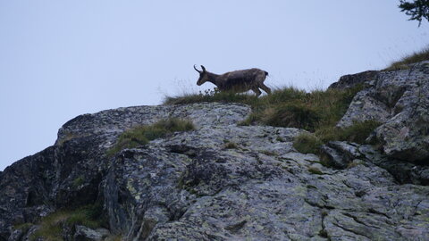Mercantour 8-10/09, P1033375