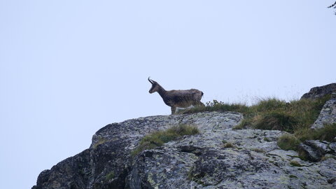 Mercantour 8-10/09, P1033377