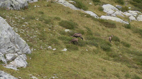 Mercantour 8-10/09, P1033382