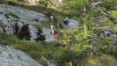 Mercantour 8-10/09, P1033384
