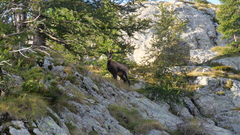 Mercantour 8-10/09, P1033385