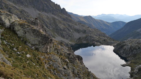 Mercantour 8-10/09, P1033389