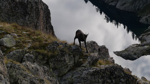 Mercantour 8-10/09, P1033391