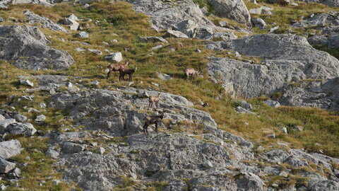 Mercantour 8-10/09, P1033392
