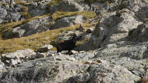 Mercantour 8-10/09, P1033395