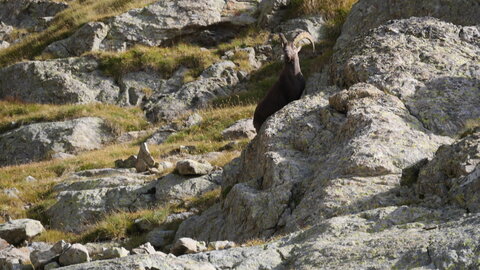 Mercantour 8-10/09, P1033396