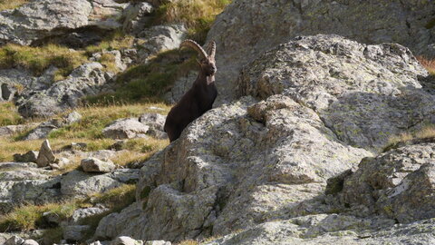 Mercantour 8-10/09, P1033398