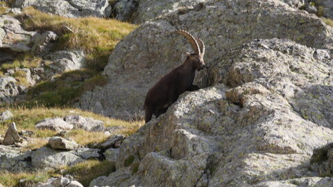 Mercantour 8-10/09, P1033399