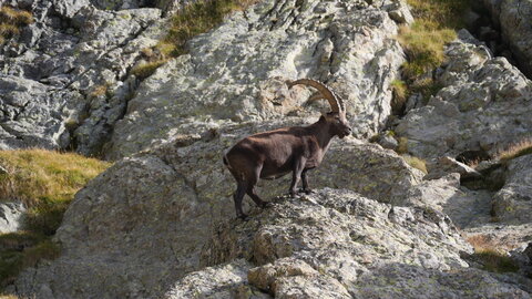 Mercantour 8-10/09, P1033400