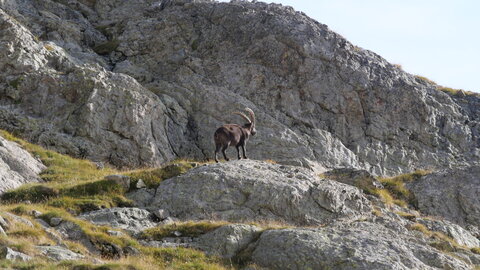 Mercantour 8-10/09, P1033401
