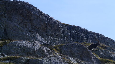 Mercantour 8-10/09, P1033402