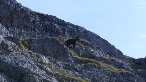 Mercantour 8-10/09, P1033403