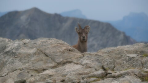 Mercantour 8-10/09, P1033419