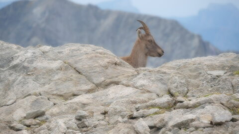 Mercantour 8-10/09, P1033420