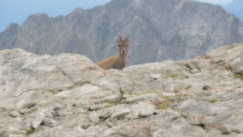 Mercantour 8-10/09, P1033422