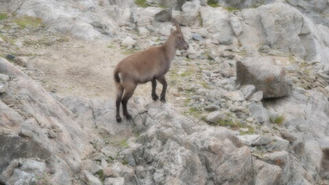 Mercantour 8-10/09, P1033423