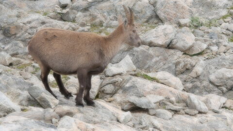 Mercantour 8-10/09, P1033426