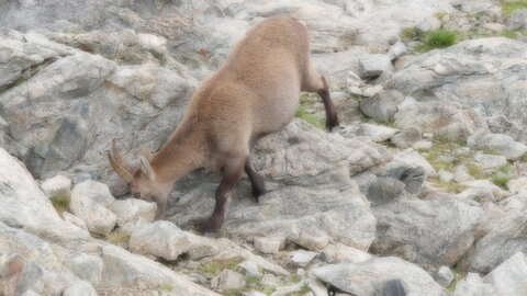 Mercantour 8-10/09, P1033428