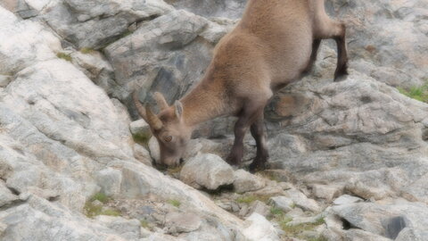 Mercantour 8-10/09, P1033429