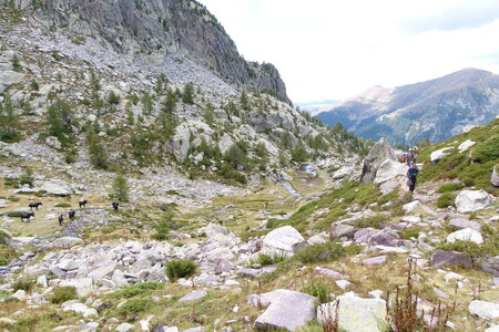 Mercantour, P1280022