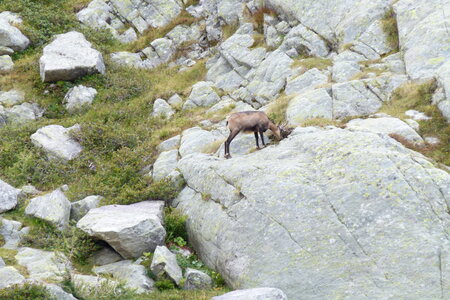 Mercantour, P1280024