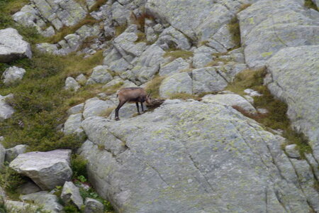 Mercantour, P1280025