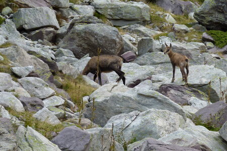 Mercantour, P1280029
