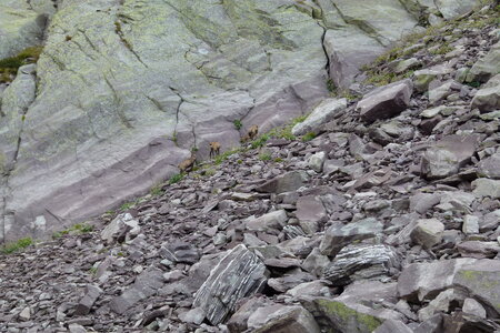 Mercantour, P1280038