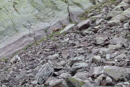 Mercantour, P1280039