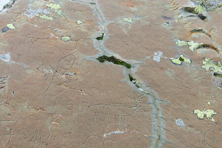 Mercantour, P1280070
