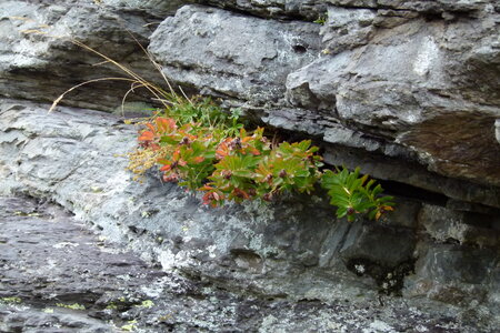 Mercantour, P1280103