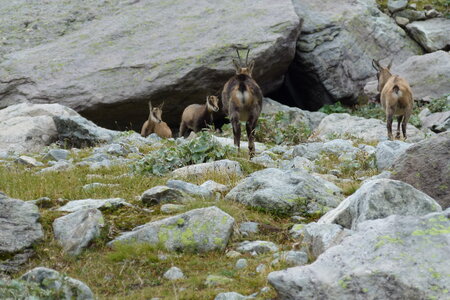 Mercantour, P1280130