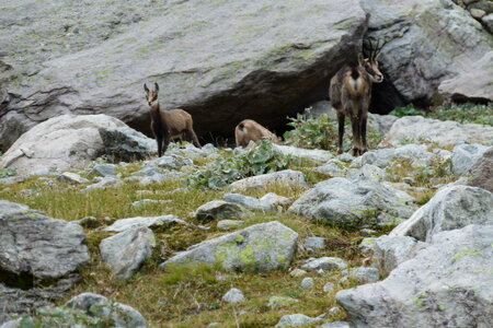 Mercantour, P1280133