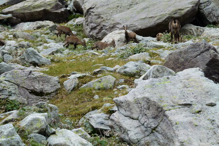 Mercantour, P1280135