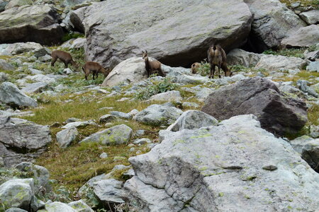 Mercantour, P1280137